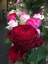 バラフェア2018年 美作店