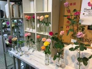 IMG_3408 (1024x768)